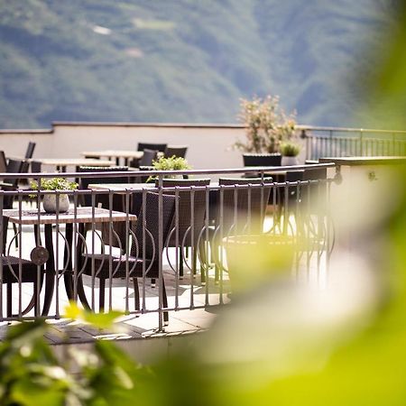 Ebnerhof Bed & Breakfast Appiano Sulla Strada Del Vino Dış mekan fotoğraf
